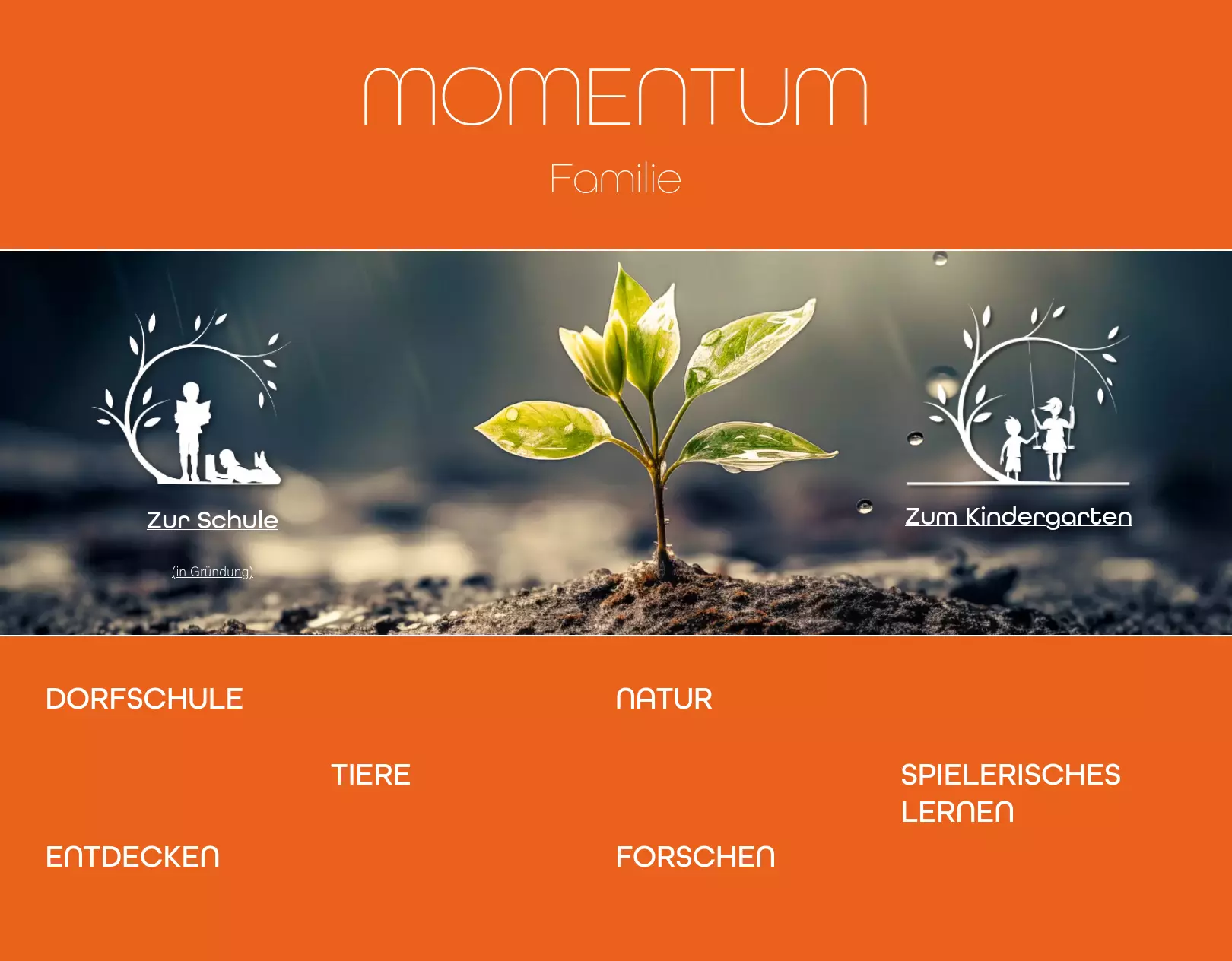 Momentum